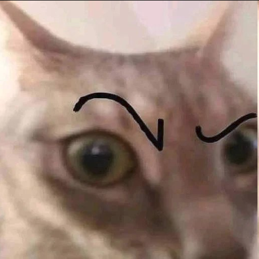 e6107e74b3bf61b76563426a15e21f56.png