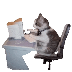 cat_dc082882.gif