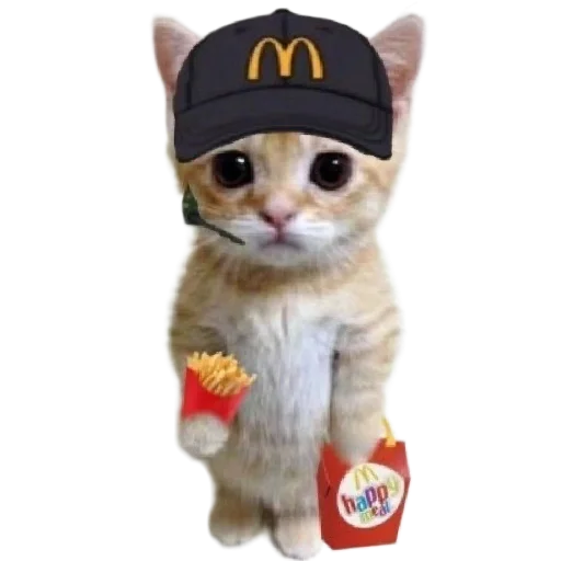 vuyyxbugufud_agaddheaakxwgfy.png
